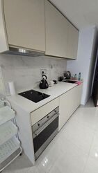 Kopar At Newton (D9), Apartment #553805691